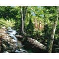 Paint By Number Kit 16"X20"-A Moment's Notice