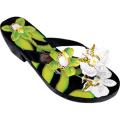 Women's Susan Mango Green Orchid Green