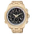 Citizen Men's Eco-Drive Perpetual Calendar Chronograph Watch