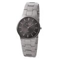 Skagen Men's Stainless Steel Grey Dial Watch
