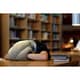 Authentic Ostrich Pillow