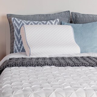 Sealy Memory Foam Contour Pillow