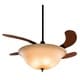 Fanimation Air Shadow 43-inch Glass Shade Retractable 3-light Ceiling Fan