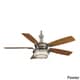 Fanimation Andover 54-inch 3-light Ceiling Fan