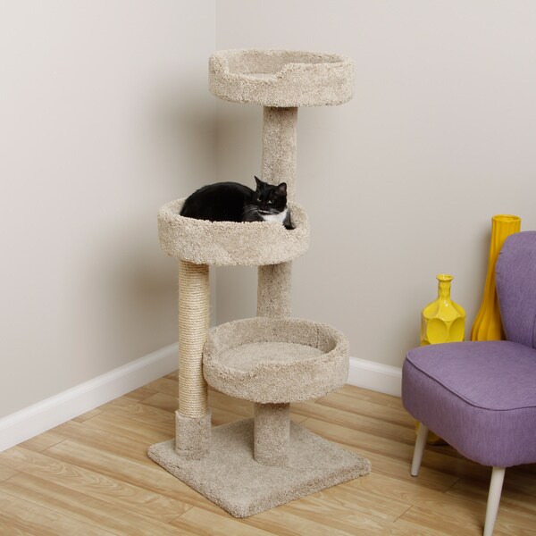 Cat Condo instal the new version for android