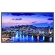 NEC Display 80" High-Performance LED Edge-lit Commercial-Grade Displa