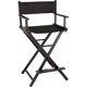 Shany Studio Director Salon Chair 