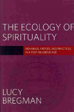 The Ecology of Spirituality: Meanings, Virtues, and Practices in a Post-religious Age (Paperback)