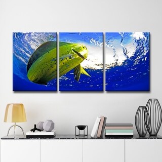 Chris Doherty 'Mahi' Canvas Art 3-piece Set
