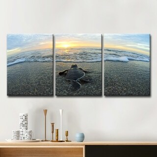 Chris Doherty 'Turtle' Canvas Art 3-piece Set