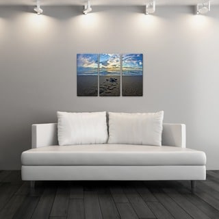 Chris Doherty 'Turtle' Acrylic Art 3-piece Set