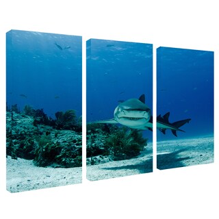 Chris Doherty 'Shark' Canvas Art 3-piece Set