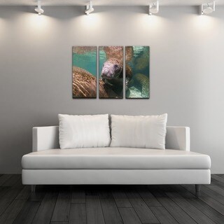 Chris Doherty 'Manatee' Canvas Art 3-piece Set