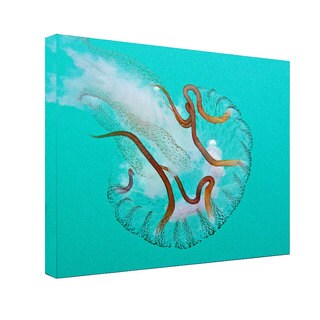 Chris Doherty 'Jellyfish' Canvas Wall Art