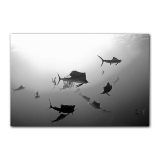 Chris Doherty 'Sailfish' Canvas Wall Art