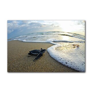 Chris Doherty 'Leatherback Wave Watch' Canvas Wall Art