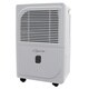 Comfort-Aire EStar 115 30-pint Dehumidifier