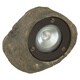 Coleman Cable 1-light Low Voltage Rock Spotlight