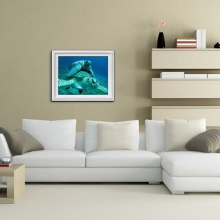 Chris Doherty Framed 'Turtle' Wall Art