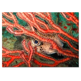 Chris Doherty 'Underwater' Framed Wall Art