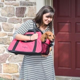 Gen7Pets Large Carry-Me Fashion Pet Carrier