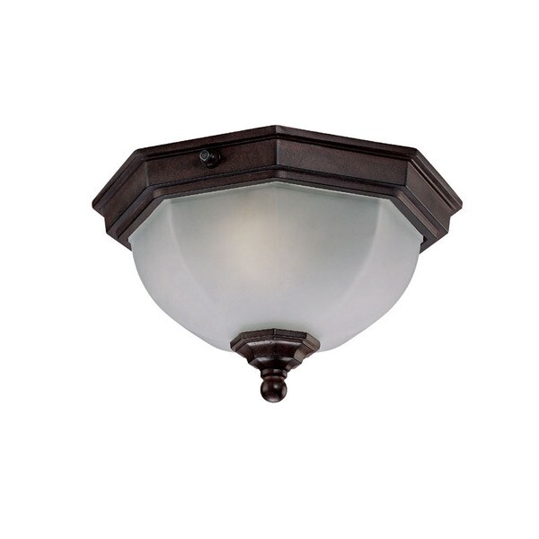 Craftsman Energy Star Collection Ceiling-mount 2-light Outdoor Burled Walnut Light Fixture