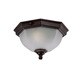 Craftsman Energy Star Collection Ceiling-mount 2-light Outdoor Burled Walnut Light Fixture
