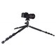 Dolica PROLINE GX650B204 Floor Standing Tripod