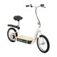 EcoSmart Metro Electrc Scooter