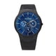 Skagen Men's Titanium Case Multifunction Watch