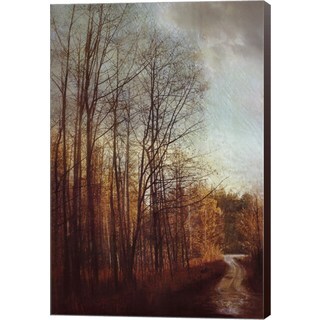Amy Melious 'Winter Light I' Canvas Art