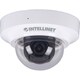 Intellinet IDC-862 2 Megapixel Network Mini-Dome Camera