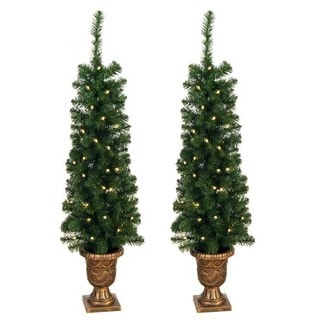 Easy, elegant and festive! Our Pathway Christmas Trees get ...