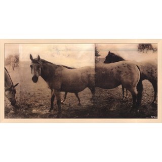 Compare Price Casey Mckee 'Extension of a Horse' Framed Art