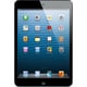 Apple 16GB iPad mini with Wi-Fi in Black and Slate