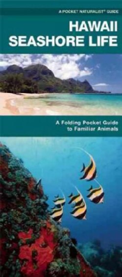 Hawaii Seashore Life: A Folding Pocket Guide to Familiar Plants and Animals (Wallchart)