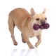 Dog Gift Set of Toys n' Treats for Small Breeds