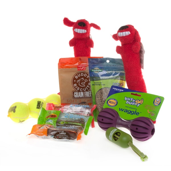Dog Treats 'n Toys Gift Set for Medium/Large Breeds