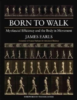 Born to Walk: Myofascial Efficiency and the Body in Movement (Paperback)