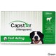 Capstar Flea Treatment (6-pack)