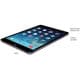 Apple 16GB iPad mini with Wi-Fi in Space Gray