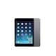 Apple 16GB iPad mini with Wi-Fi in Space Gray