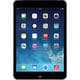 Apple 16GB iPad mini with Wi-Fi in Space Gray