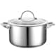 Cooks Standard Stainless Steel 6-quart Covered Stockpot