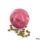 PetSafe Slim Cat Treat Ball with 3-pack of Treats