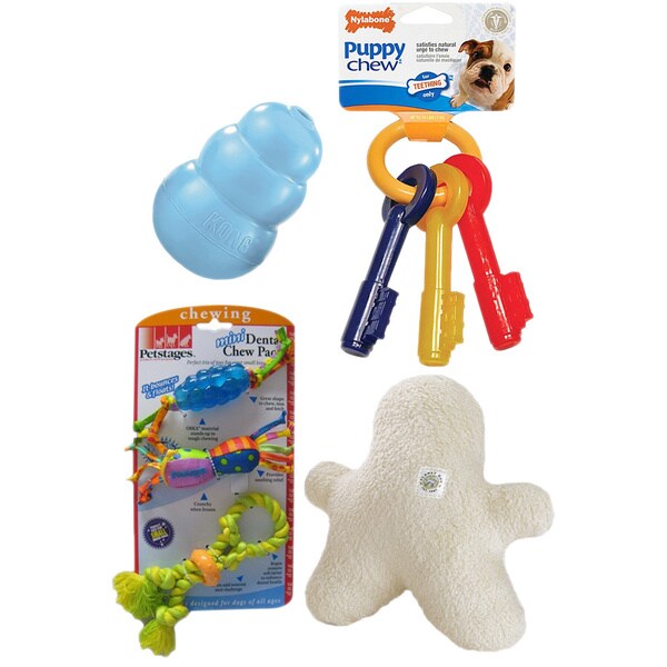 New Puppy Toy Gift Set