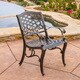 Christopher Knight Home Sarasota Cast Aluminum Bronze Outdoor Chair (Set of 2)