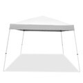 12x12 V-Series 2 Kit White Canopy