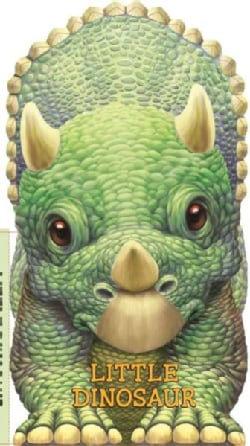Little Dinosaur (Board book)