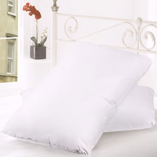 Goose Feather and Down 300 Thread Count Pillow (Set of 2)